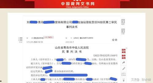 汽车加油站爆料流程视频,揭秘加油站操作流程与注意事项  第2张